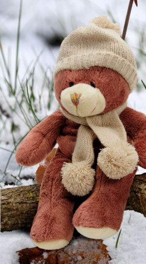brown bear plush toy wearing beige knit cap sitting on beige tree branch during winte thumbnail